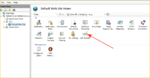 IIS url Rewrite